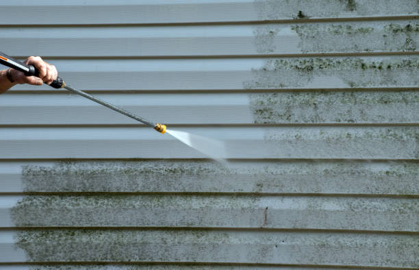 Animal Enclosure Cleaning in Sumner, IL